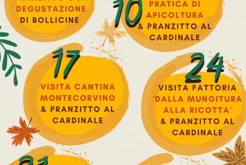 Offerte ed Eventi di Ottobre